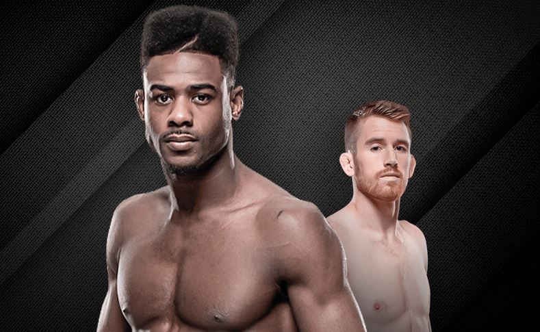 Стерлинг против Сэндхейгена: кто победит на UFC 250? Стерлинг против Сэндхейгена: кто победит на UFC 250?