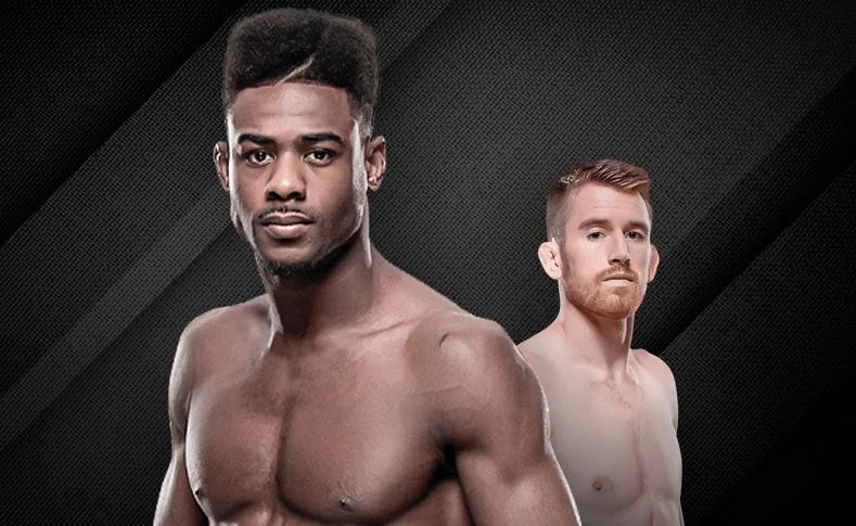 Стерлинг против Сэндхейгена: кто победит на UFC 250? Стерлинг против Сэндхейгена: кто победит на UFC 250?