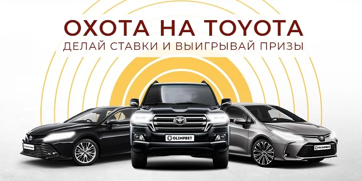 Охота на Тойоту Охота на Тойоту