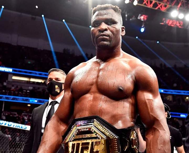 Экс-чемпион UFC Фрэнсис Нганну хочет заработать за дебют в боксе 30 млн долларов Экс-чемпион UFC Фрэнсис Нганну хочет заработать за дебют в боксе 30 млн долларов