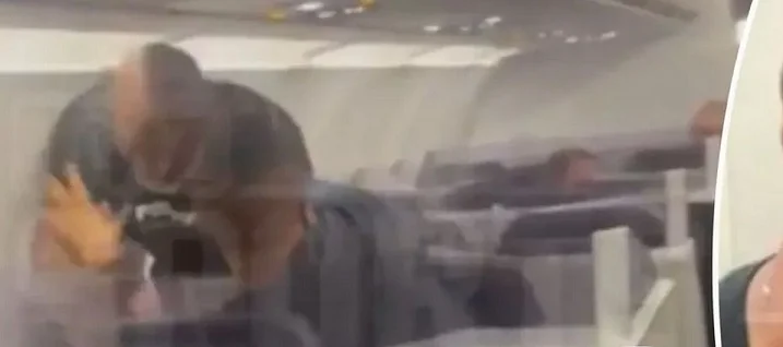 Пользователи опубликовали видео драки Тайсона в самолете Пользователи опубликовали видео драки Тайсона в самолете