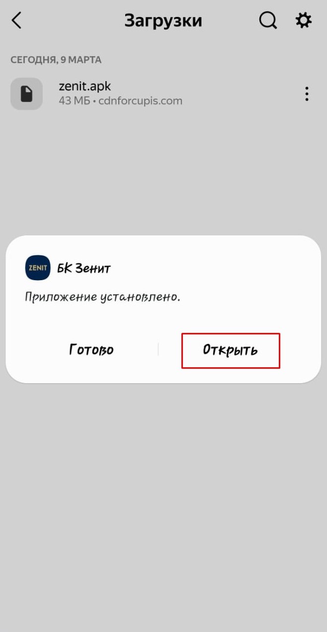 Приложение БК Зенит