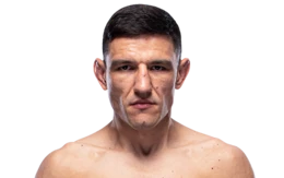 Damir Hadzovic