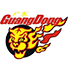 Guangdong Southern Tigers