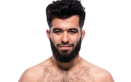 Muin Gafurov Muin Gafurov