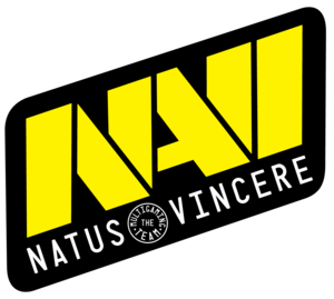 NaVi NaVi