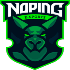 NoPing e-sports NoPing e-sports
