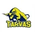 Раквере Тарвас