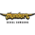 Seoul Thunders