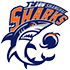 Shanghai Sharks