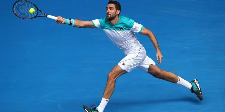 Чилич - Эдмунд. Прогноз на Australian Open (25.01.2018) Чилич - Эдмунд. Прогноз на Australian Open (25.01.2018)