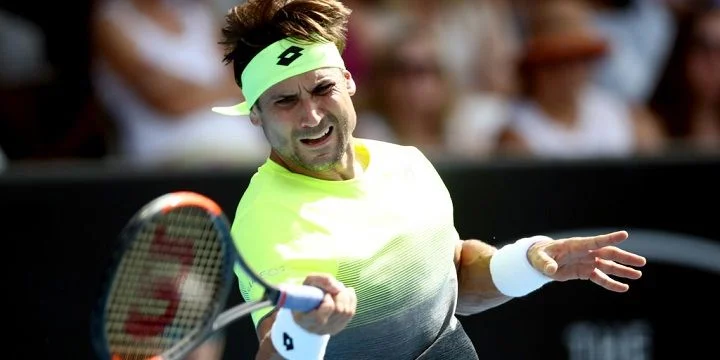 Зверев - Феррер. Прогноз на ATP Роттердам (12.02.2018)