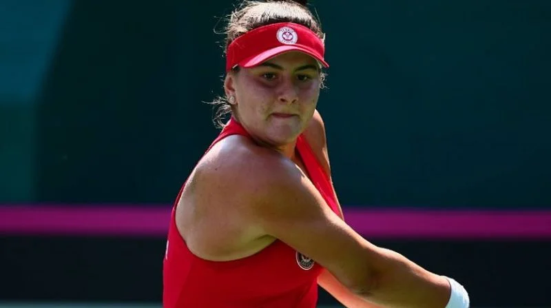 Гретье Минен – Бьянка Андрееску. Прогноз на матч WTA ЮС Оупен (4 сентября 2021 года) Гретье Минен – Бьянка Андрееску. Прогноз на матч WTA ЮС Оупен (4 сентября 2021 года)