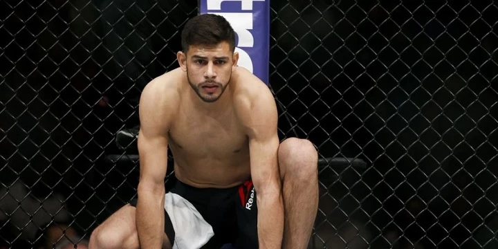 Макс Холлоуэй — Яир Родригес. Прогноз на UFC (14 ноября 2021 года) Макс Холлоуэй — Яир Родригес. Прогноз на UFC (14 ноября 2021 года)