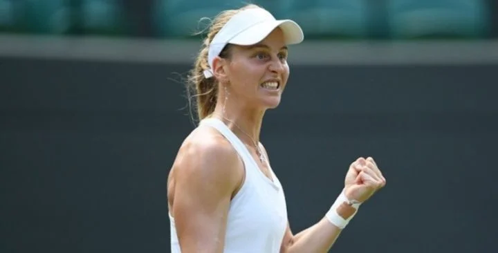Андреа Петкович – Людмила Самсонова. Прогноз на матч WTA Мельбурн (4 января 2022 года) Андреа Петкович – Людмила Самсонова. Прогноз на матч WTA Мельбурн (4 января 2022 года)