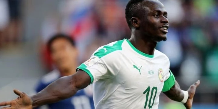 Сенегал — Гвинея. Прогноз (кф 2.23) на матч Кубка Африки (14 января 2022 года)
