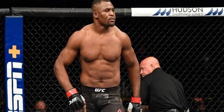 Фрэнсис Нганну — Сирил Ган. Прогноз на UFC (23 января 2022 года) Фрэнсис Нганну — Сирил Ган. Прогноз на UFC (23 января 2022 года)
