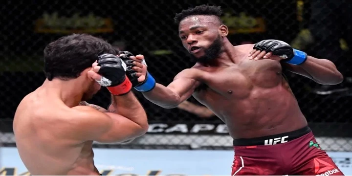 Рожерио Бонторин — Манель Капе. Прогноз (кф 2.20) на UFC (12 июня 2022 года) Рожерио Бонторин — Манель Капе. Прогноз (кф 2.20) на UFC (12 июня 2022 года)
