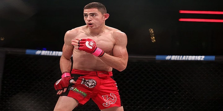 Хайссер Махешате — Стив Гарсия. Прогноз на UFC (12 июня 2022 года) Хайссер Махешате — Стив Гарсия. Прогноз на UFC (12 июня 2022 года)
