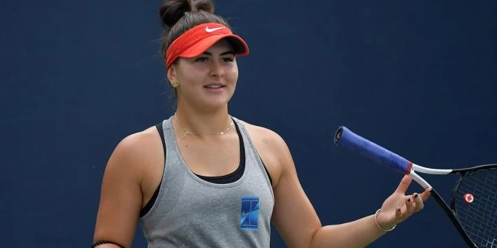 Бьянка Андрееску – Мартина Тревизан. Прогноз на матч WTA Бад-Хомбург (21 июня 2022 года) Бьянка Андрееску – Мартина Тревизан. Прогноз на матч WTA Бад-Хомбург (21 июня 2022 года)