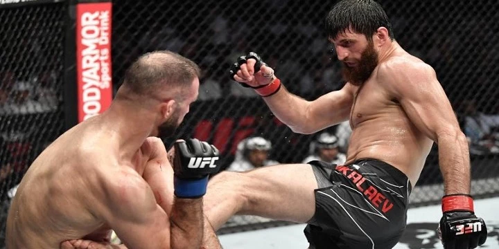 Магомед Анкалаев — Энтони Смит. Прогноз (кф 2.22) на UFC (31 июля 2022 года)