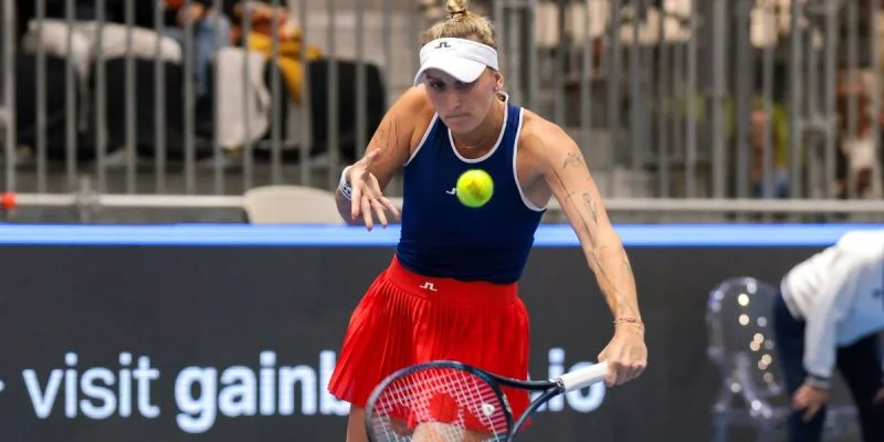 Маркета Вондроушова – Пэйтон Стирнс. Прогноз и ставки на матч WTA Дубай (20 февраля 2024 года) Маркета Вондроушова – Пэйтон Стирнс. Прогноз и ставки на матч WTA Дубай (20 февраля 2024 года)