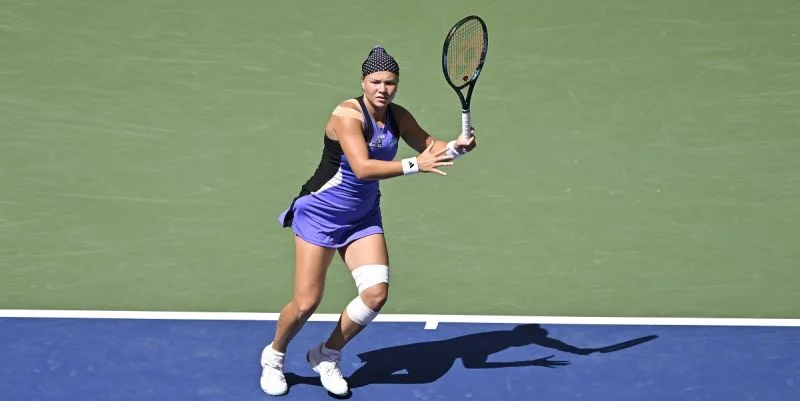 Диана Шнайдер – Сюзан Ламенс. Прогноз и ставки на матч WTA Гонконг (1 ноября 2024 года) Диана Шнайдер – Сюзан Ламенс. Прогноз и ставки на матч WTA Гонконг (1 ноября 2024 года)