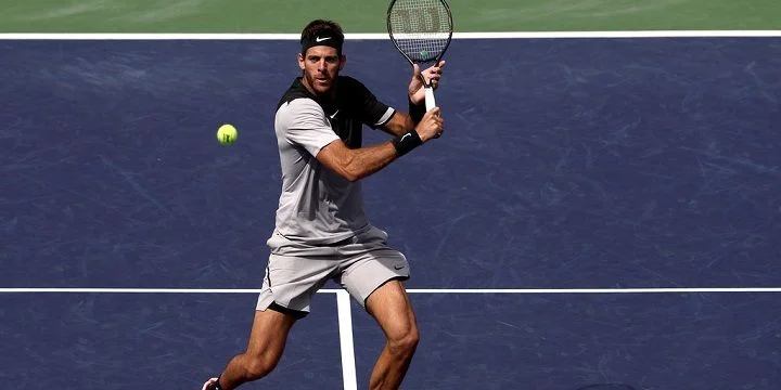 Дель Потро - Хасе. Прогноз на ATP Майами (24.03.2018) Дель Потро - Хасе. Прогноз на ATP Майами (24.03.2018)