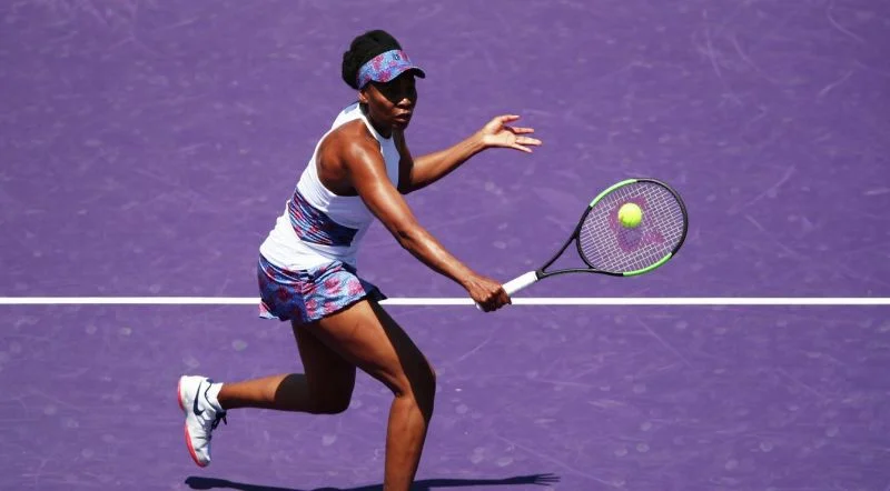 Винус Уильямс – Даниелле Роуз Коллинз. Прогноз на WTA Майами (29.03.2018) Винус Уильямс – Даниелле Роуз Коллинз. Прогноз на WTA Майами (29.03.2018)