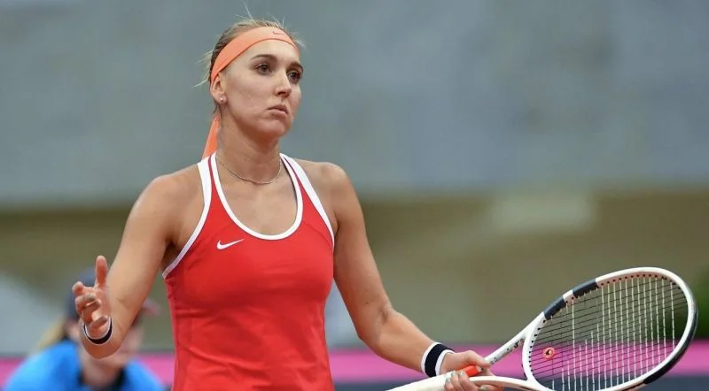 Елена Веснина – Кристина Плишкова. Прогноз на WTA Чарлстон 5 апреля Елена Веснина – Кристина Плишкова. Прогноз на WTA Чарлстон 5 апреля
