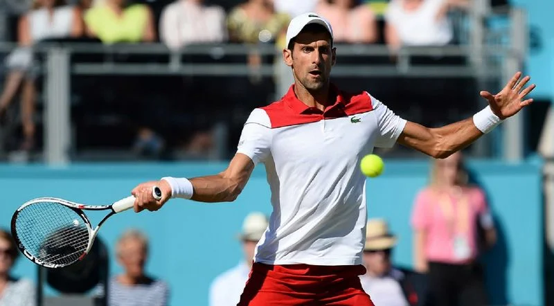 Шарди - Джокович. Прогноз на ATP Лондон (23.06.2018) Шарди - Джокович. Прогноз на ATP Лондон (23.06.2018)