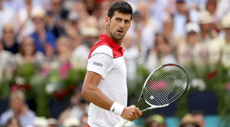 Чилич - Джокович. Прогноз на ATP Лондон (24.06.2018) Чилич - Джокович. Прогноз на ATP Лондон (24.06.2018)