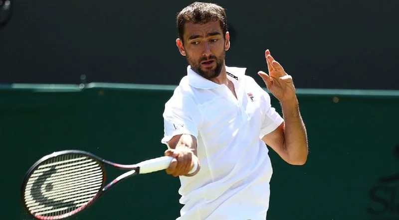 Чилич - Пелья. Прогноз на ATP Уимблдон (04.07.2018) Чилич - Пелья. Прогноз на ATP Уимблдон (04.07.2018)