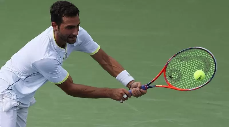 Южный - Рубин. Прогноз на ATP Вашингтон (31.07.2018) Южный - Рубин. Прогноз на ATP Вашингтон (31.07.2018)