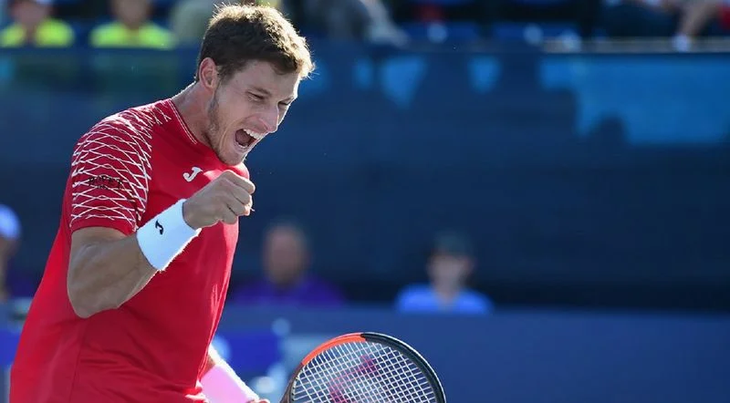 Джонсон - Карреньо-Буста. Прогноз на ATP Уинстон-Сейлем (25.08.2018) Джонсон - Карреньо-Буста. Прогноз на ATP Уинстон-Сейлем (25.08.2018)