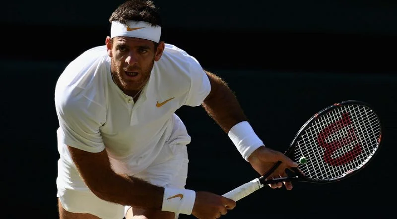 Дель Потро - Янг. Прогноз на ATP US Open (28.08.2018) Дель Потро - Янг. Прогноз на ATP US Open (28.08.2018)