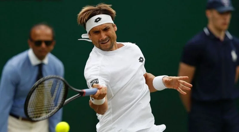 Рафаэль Надаль - Давид Феррер. Прогноз на ATP US Open (28.08.2018) Рафаэль Надаль - Давид Феррер. Прогноз на ATP US Open (28.08.2018)