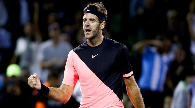Хуан Мартин Дель Потро - Борна Чорич. Прогноз на ATP US Open (03.09.2018) Хуан Мартин Дель Потро - Борна Чорич. Прогноз на ATP US Open (03.09.2018)