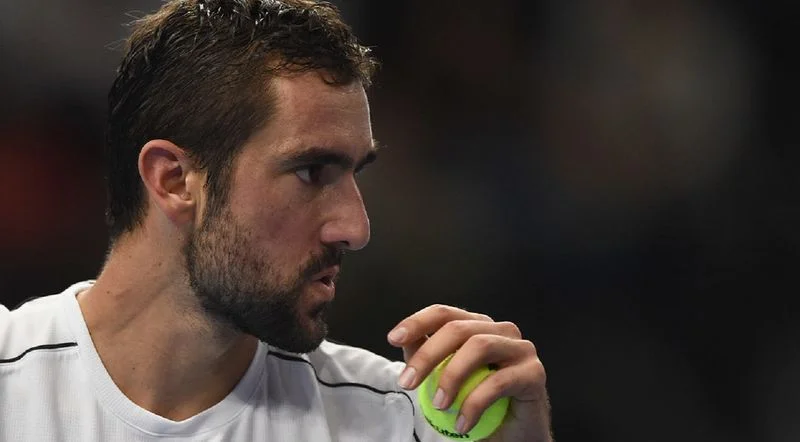 Чилич - Харри. Прогноз на ATP Шанхай (09.10.2018) Чилич - Харри. Прогноз на ATP Шанхай (09.10.2018)