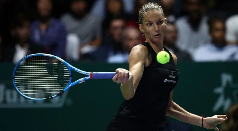 Свитолина - Плишкова. Прогноз на WTA Итоговый турнир (23.10.2018) Свитолина - Плишкова. Прогноз на WTA Итоговый турнир (23.10.2018)