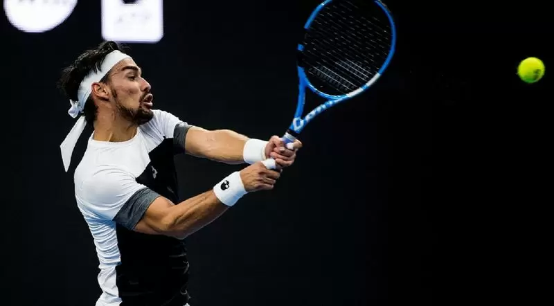 Фучович - Фоньини. Прогноз на ATP Вена (24.10.2018) Фучович - Фоньини. Прогноз на ATP Вена (24.10.2018)