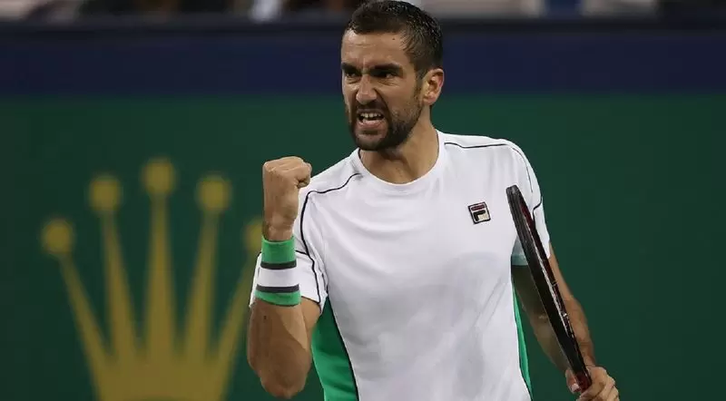 Чилич - Димитров. Прогноз на ATP Париж (01.11.2018) Чилич - Димитров. Прогноз на ATP Париж (01.11.2018)