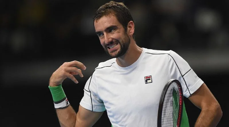 Чилич - Джокович. Прогноз на ATP Париж (02.11.2018) Чилич - Джокович. Прогноз на ATP Париж (02.11.2018)