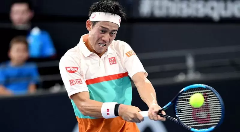 Медведев - Нисикори. Прогноз и ставки на ATP Брисбен (06.01.2019) Медведев - Нисикори. Прогноз и ставки на ATP Брисбен (06.01.2019)