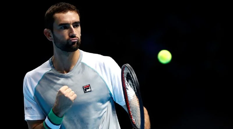 Чилич - Томич. Прогноз на матч ATP Австралиан Оупен (14.01.2019) Чилич - Томич. Прогноз на матч ATP Австралиан Оупен (14.01.2019)