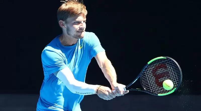 Гоффен - Копил. Прогноз на матч ATP Австралиан Оупен (17.01.2019)