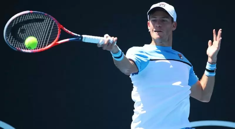 Бердых - Шварцман. Прогноз на матч ATP Австралиан Оупен (18.01.2019)