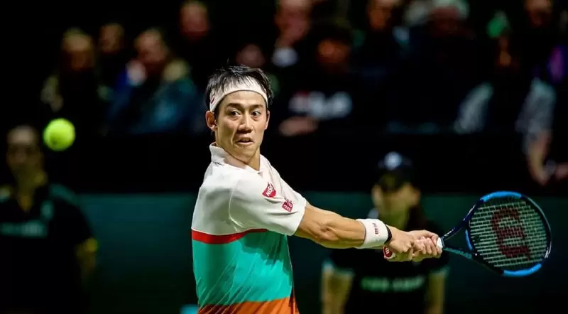 Нисикори - Гулбис. Прогноз на матч ATP Роттердам (14.02.2019) Нисикори - Гулбис. Прогноз на матч ATP Роттердам (14.02.2019)
