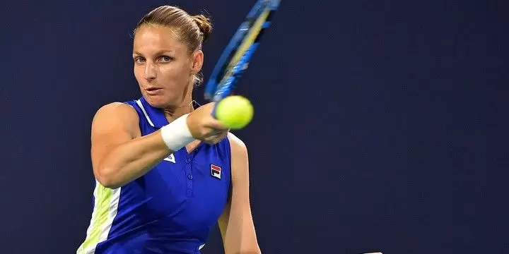 Эшли Барти – Каролина Плишкова. Прогноз на матч WTA Майами (30.03.2019) Эшли Барти – Каролина Плишкова. Прогноз на матч WTA Майами (30.03.2019)