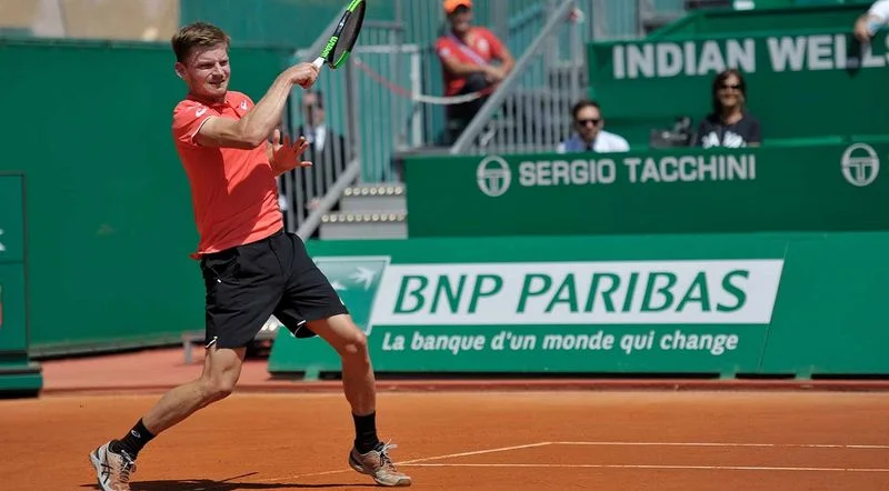Гоффин - Дель Потро. Прогноз на матч ATP Рим (16.05.2019) Гоффин - Дель Потро. Прогноз на матч ATP Рим (16.05.2019)
